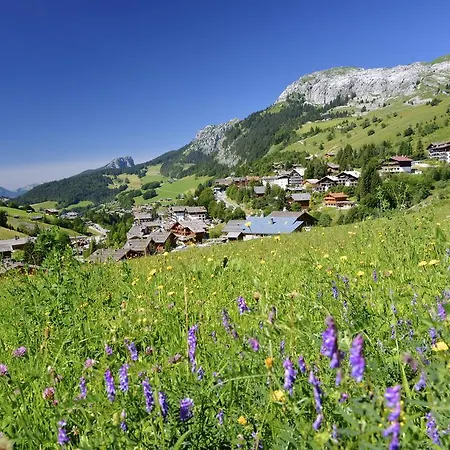 Danay Acces Espace Detente Gratuit Apartment Le Grand-Bornand